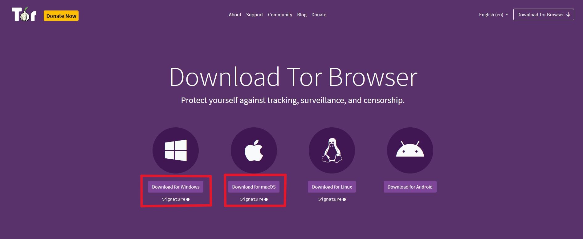 image of TOR Browser download page