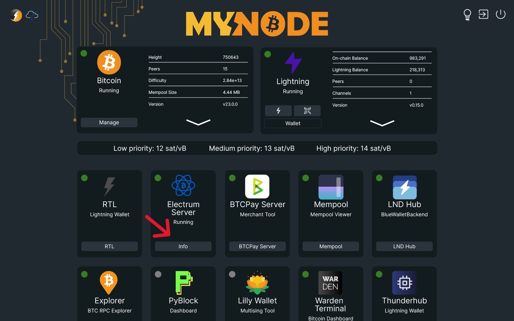 image of mynodebtc interface