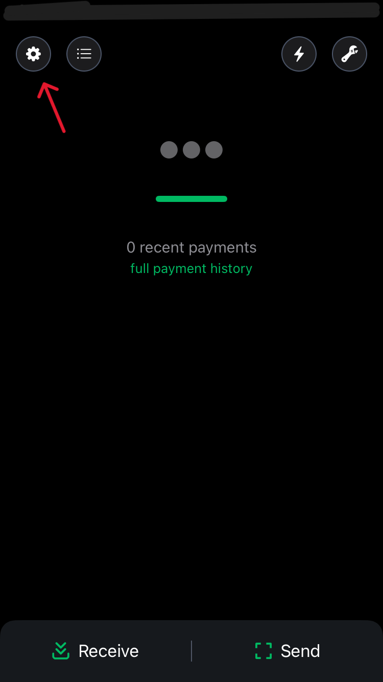 image of phoenix wallet home screen