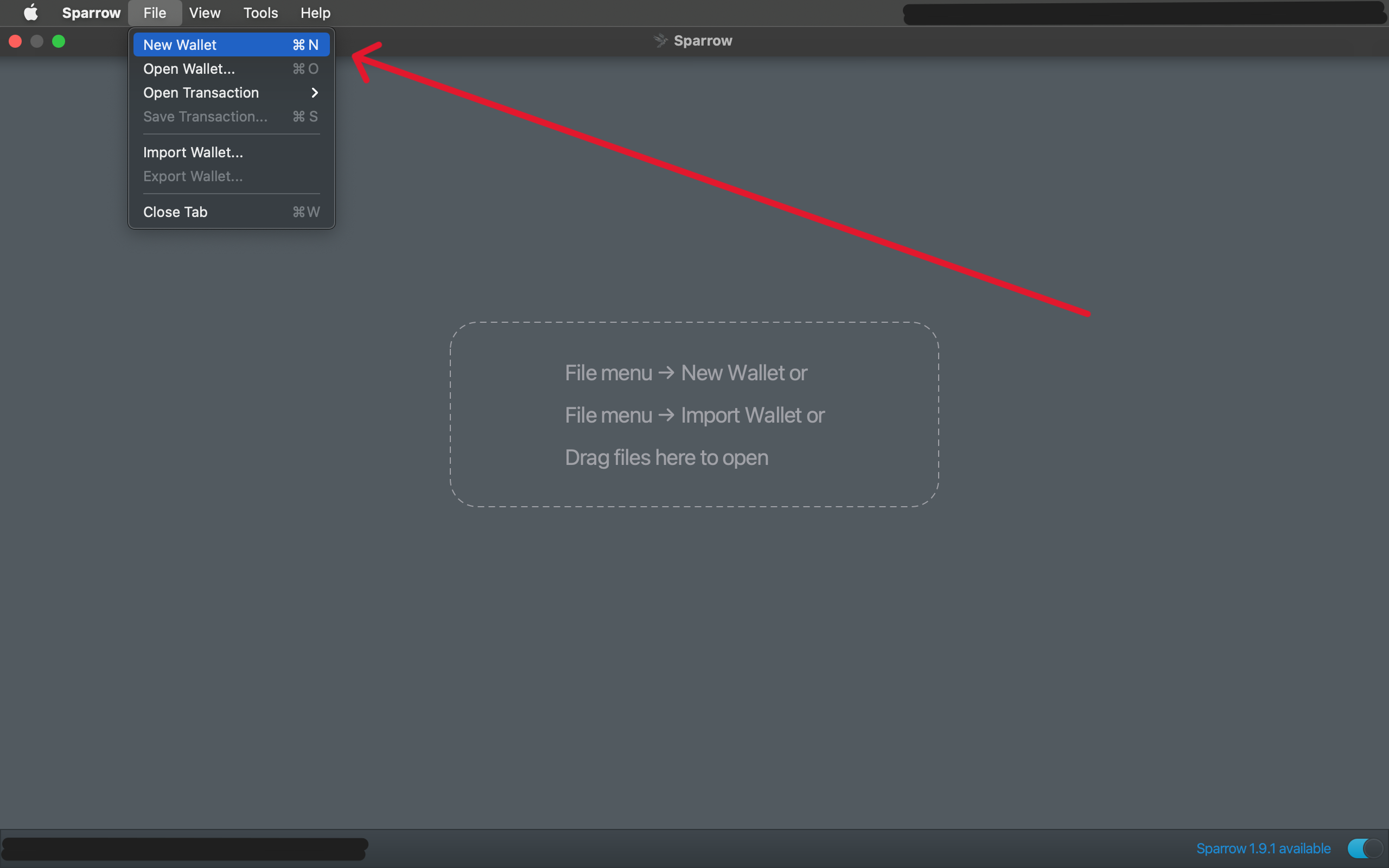 image of sparrow wallet creation screen